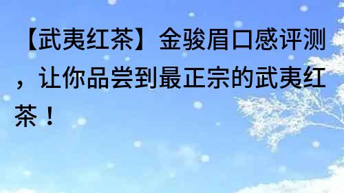 【武夷紅茶】金駿眉口感評測，讓你品嘗到最正宗的武夷紅茶！