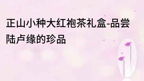 正山小種大紅袍茶禮盒-品嘗陸盧緣的珍品