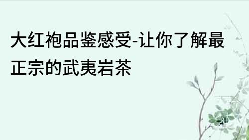 大紅袍品鑒感受-讓你了解最正宗的武夷巖茶