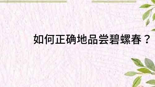如何正確地品嘗碧螺春？