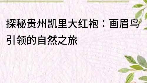 探秘貴州凱里大紅袍：畫眉鳥引領的自然之旅