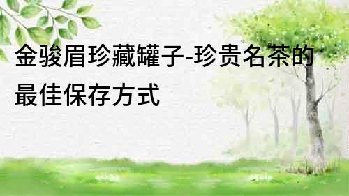 金駿眉珍藏罐子-珍貴名茶的最佳保存方式