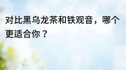 對比黑烏龍茶和鐵觀音，哪個更適合你？