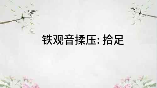 鐵觀音揉壓: 拾足