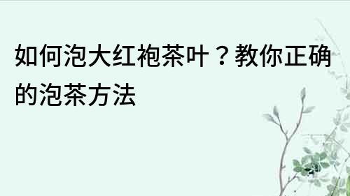 如何泡大紅袍茶葉？教你正確的泡茶方法