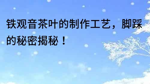鐵觀音茶葉的制作工藝，腳踩的秘密揭秘！