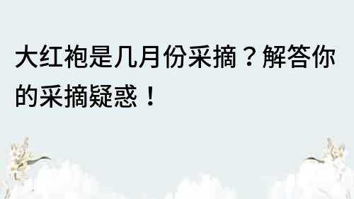 大紅袍是幾月份采摘？解答你的采摘疑惑！