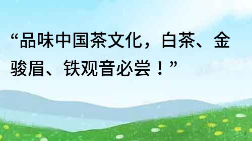 “品味中國茶文化，白茶、金駿眉、鐵觀音必嘗！”