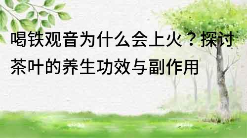 喝鐵觀音為什么會上火？探討茶葉的養生功效與副作用