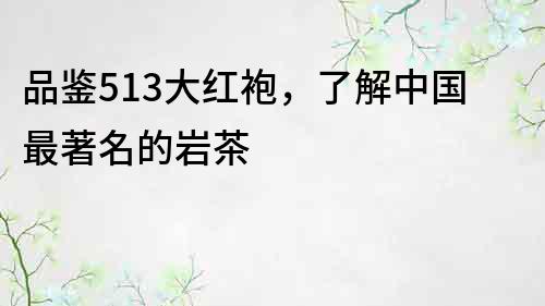 品鑒513大紅袍，了解中國最著名的巖茶