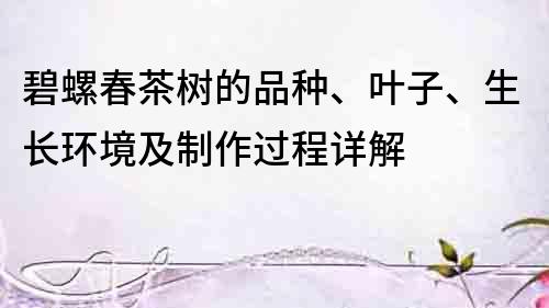 碧螺春茶樹的品種、葉子、生長環境及制作過程詳解