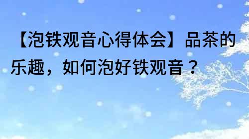 【泡鐵觀音心得體會】品茶的樂趣，如何泡好鐵觀音？