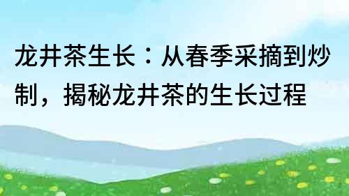龍井茶生長：從春季采摘到炒制，揭秘龍井茶的生長過程