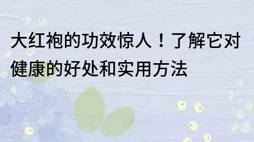 大紅袍的功效驚人！了解它對健康的好處和實用方法