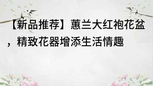 【新品推薦】蕙蘭大紅袍花盆，精致花器增添生活情趣