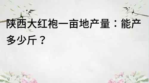 陜西大紅袍一畝地產(chǎn)量：能產(chǎn)多少斤？