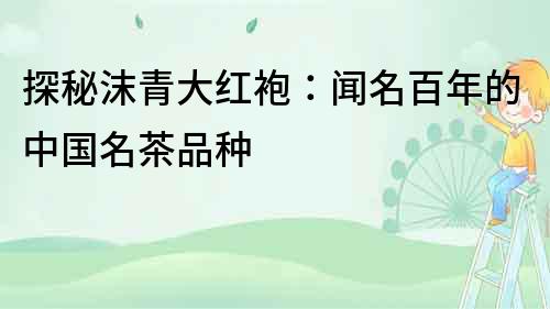 探秘沫青大紅袍：聞名百年的中國名茶品種