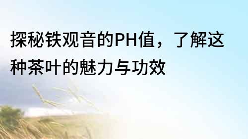 探秘鐵觀音的PH值，了解這種茶葉的魅力與功效