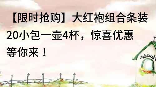 【限時搶購】大紅袍組合條裝20小包一壺4杯，驚喜優惠等你來！