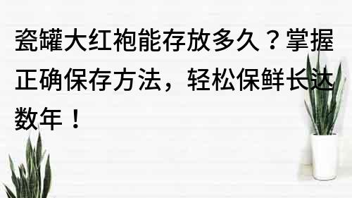 瓷罐大紅袍能存放多久？掌握正確保存方法，輕松保鮮長達數年！
