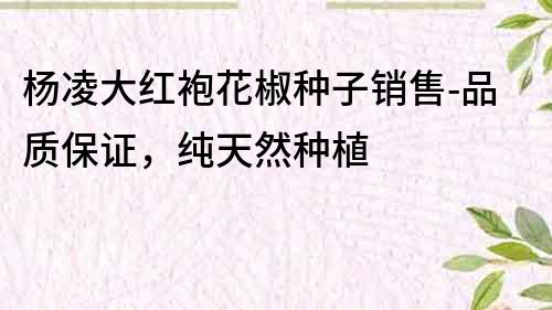 楊凌大紅袍花椒種子銷售-品質保證，純天然種植
