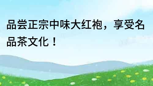 品嘗正宗中味大紅袍，享受名品茶文化！
