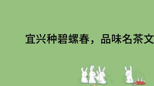 宜興種碧螺春，品味名茶文化