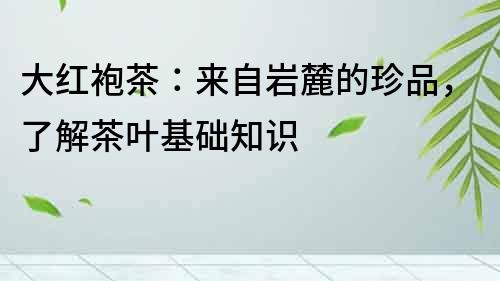 大紅袍茶：來自巖麓的珍品，了解茶葉基礎知識