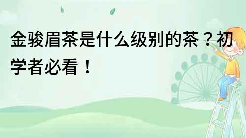 金駿眉茶是什么級別的茶？初學者必看！