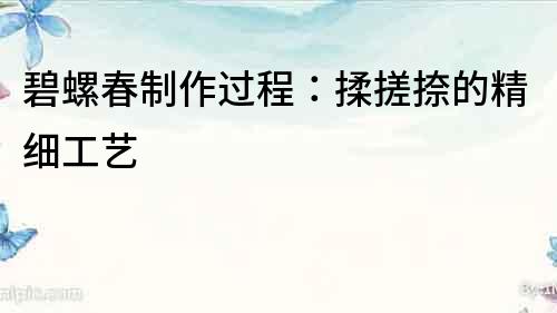 碧螺春制作過程：揉搓捺的精細工藝