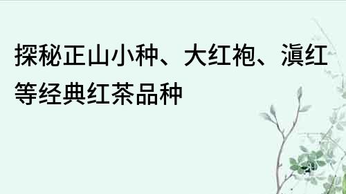 探秘正山小種、大紅袍、滇紅等經典紅茶品種