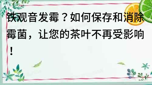 鐵觀音發霉？如何保存和消除霉菌，讓您的茶葉不再受影響！