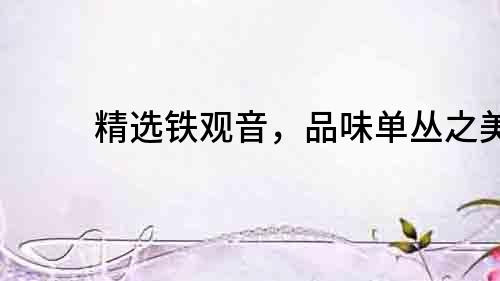 精選鐵觀音，品味單叢之美