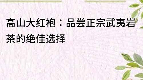 高山大紅袍：品嘗正宗武夷巖茶的絕佳選擇