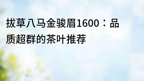 拔草八馬金駿眉1600：品質(zhì)超群的茶葉推薦