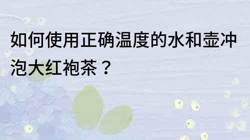 如何使用正確溫度的水和壺沖泡大紅袍茶？