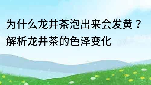 為什么龍井茶泡出來會發黃？解析龍井茶的色澤變化