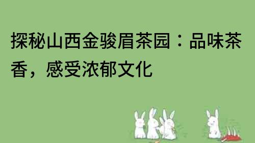 探秘山西金駿眉茶園：品味茶香，感受濃郁文化