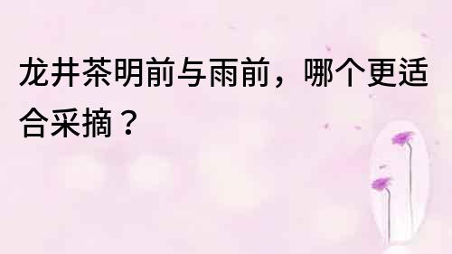 龍井茶明前與雨前，哪個更適合采摘？
