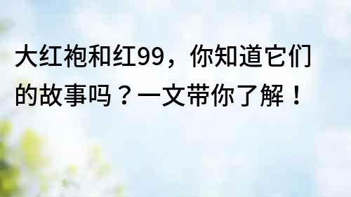 大紅袍和紅99，你知道它們的故事嗎？一文帶你了解！