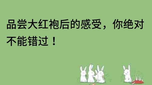 品嘗大紅袍后的感受，你絕對不能錯過！