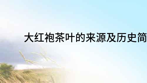 大紅袍茶葉的來源及歷史簡介