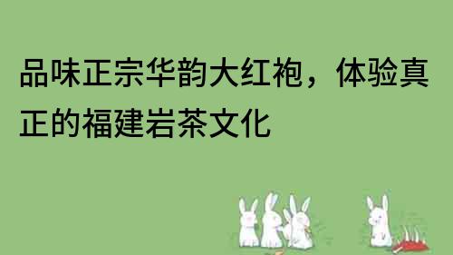 品味正宗華韻大紅袍，體驗(yàn)真正的福建巖茶文化