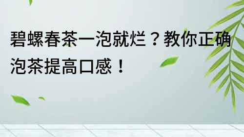 碧螺春茶一泡就爛？教你正確泡茶提高口感！