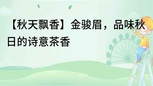 【秋天飄香】金駿眉，品味秋日的詩意茶香