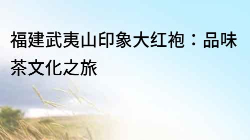 福建武夷山印象大紅袍：品味茶文化之旅