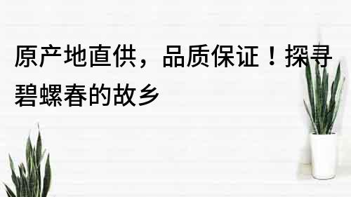 原產(chǎn)地直供，品質(zhì)保證！探尋碧螺春的故鄉(xiāng)