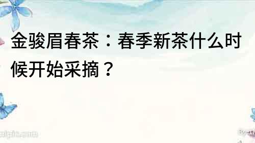 金駿眉春茶：春季新茶什么時候開始采摘？
