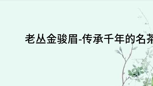 老叢金駿眉-傳承千年的名茶