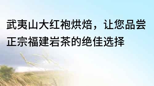 武夷山大紅袍烘焙，讓您品嘗正宗福建巖茶的絕佳選擇